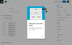 Page screenshot: Add New Post &lsaquo; Test site &mdash; WordPress