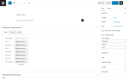 Page screenshot: Add New Post &lsaquo; Test site &mdash; WordPress