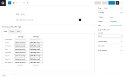 Page screenshot: Add New Page &lsaquo; Test site &mdash; WordPress