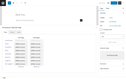 Page screenshot: Add New Page &lsaquo; Test site &mdash; WordPress