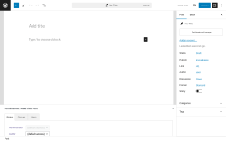 Page screenshot: Add New Post &lsaquo; Test site &mdash; WordPress