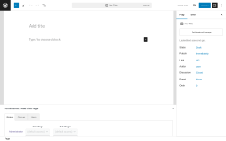 Page screenshot: Add New Page &lsaquo; Test site &mdash; WordPress