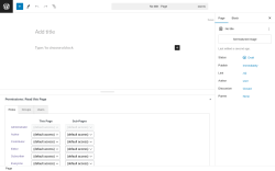 Page screenshot: Add New Page &lsaquo; Test site &mdash; WordPress