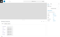 Page screenshot: Add Post &lsaquo; Test site &mdash; WordPress