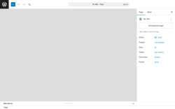 Page screenshot: Add Page &lsaquo; Test site &mdash; WordPress
