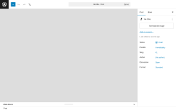 Page screenshot: Add Post &lsaquo; Test site &mdash; WordPress