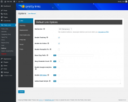 Page screenshot: Pretty Links &rarr; Options