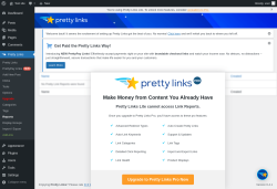 Page screenshot: Pretty Links &rarr; Reports