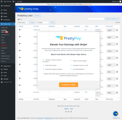 Page screenshot: Pretty Links &rarr; PrettyPay LinksNEW