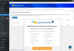 Page screenshot: Pretty Links &rarr; Display Groups