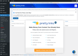 Page screenshot: Pretty Links  → Reports