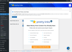 Page screenshot: Pretty Links  → Import / Export