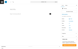 Page screenshot: Add Post ‹ Test site — WordPress