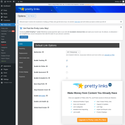 Page screenshot: Pretty Links &rarr; Options
