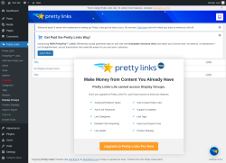 Page screenshot: Pretty Links  &rarr; Display Groups