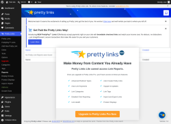 Page screenshot: Pretty Links  &rarr; Reports