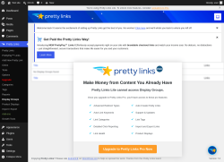 Page screenshot: Pretty Links  &rarr; Display Groups