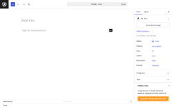 Page screenshot: Add Post &lsaquo; Test site &mdash; WordPress