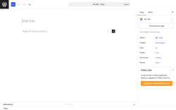 Page screenshot: Add Page &lsaquo; Test site &mdash; WordPress