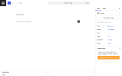 Page screenshot: Add Page &lsaquo; Test site &mdash; WordPress