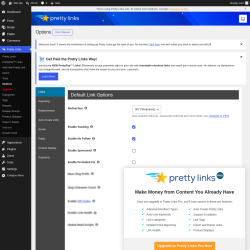 Page screenshot: Pretty Links  &rarr; Options