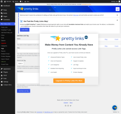 Page screenshot: Pretty Links  &rarr; Tags
