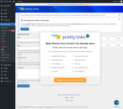 Page screenshot: Pretty Links &rarr; Tags