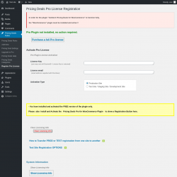 Page screenshot: Pricing Deals Rules → Register Pro License