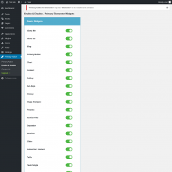 Page screenshot: Primary Addon → Enable & Disable