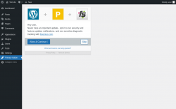 Page screenshot: Primary Addon for Elementor ‹ Test site — WordPress