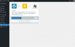Page screenshot: Primary Addon for Elementor ‹ Test site — WordPress