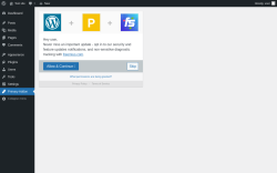 Page screenshot: Primary Addon for Elementor ‹ Test site — WordPress