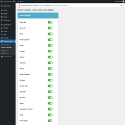 Page screenshot: Primary Addon → Enable & Disable