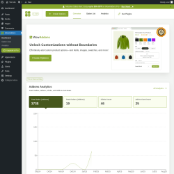 Page screenshot: WowAddons Dashboard &lsaquo; Test site &mdash; WordPress