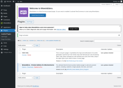Page screenshot: Plugins &lsaquo; Test site &mdash; WordPress