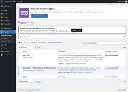 Page screenshot: Plugins &lsaquo; Test site &mdash; WordPress