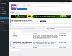 Page screenshot: Plugins &lsaquo; Test site &mdash; WordPress
