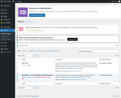 Page screenshot: Plugins &lsaquo; Test site &mdash; WordPress