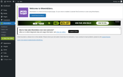 Page screenshot: WowAddons &rarr; 				 &rarr; 
					
						
					
					New Year Offer!
				