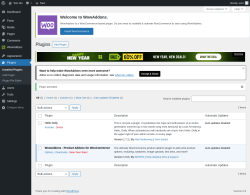 Page screenshot: Plugins &lsaquo; Test site &mdash; WordPress