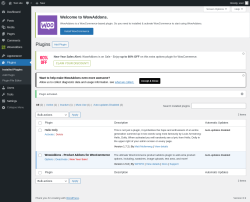 Page screenshot: Plugins &lsaquo; Test site &mdash; WordPress