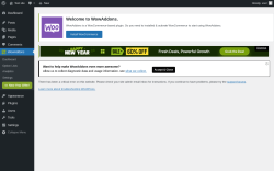 Page screenshot: WowAddons &rarr; 				 &rarr; 
					
						
					
					New Year Offer!
				
