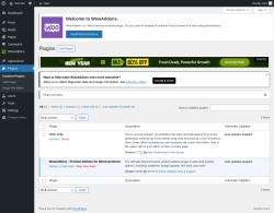 Page screenshot: Plugins &lsaquo; Test site &mdash; WordPress