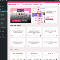 Page screenshot: WowStore