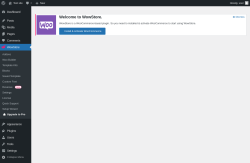 Page screenshot: WowStore →  Upgrade to Pro