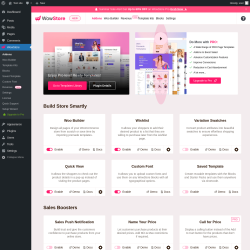 Page screenshot: WowStore
