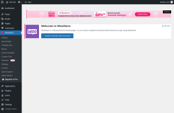 Page screenshot: WowStore →  Upgrade to Pro