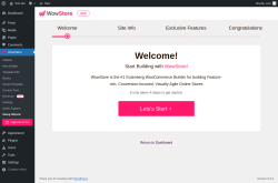Page screenshot: WowStore → Setup Wizard