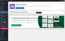 Page screenshot: WowStore → 				 → 
					
						
					
					Upgrade to Pro
				