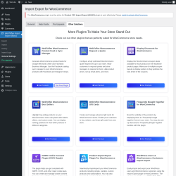 Page screenshot: WebToffee Import Export (Basic) → General Settings → Other Solutions